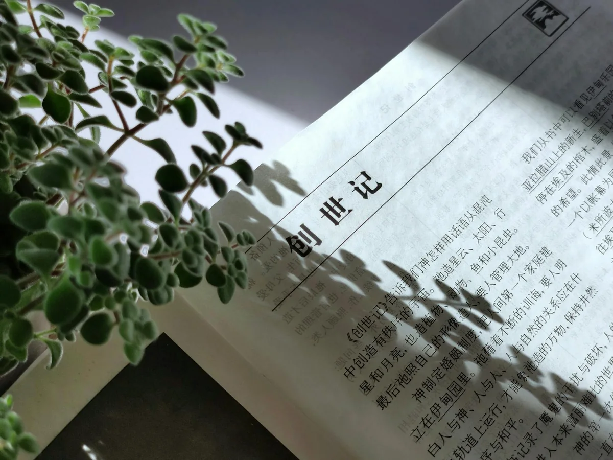 短视频拍摄现场，工作人员正在布置简易摄影棚